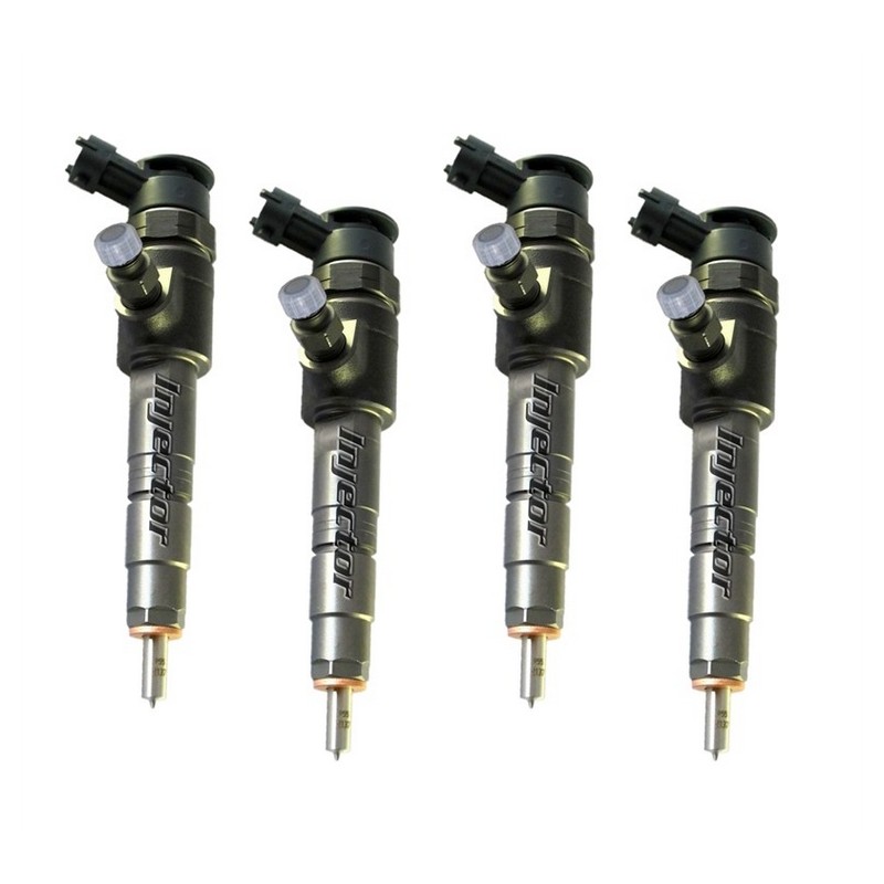 Ford Fiesta 1.4 TDCi 50 kW 68 HP BOSCH Vstreky