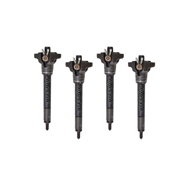 Bmw 3 320 d 100 KW 136 HP jeu de 4 injecteurs d'occasion BOSCH 13532247689, 13532246828